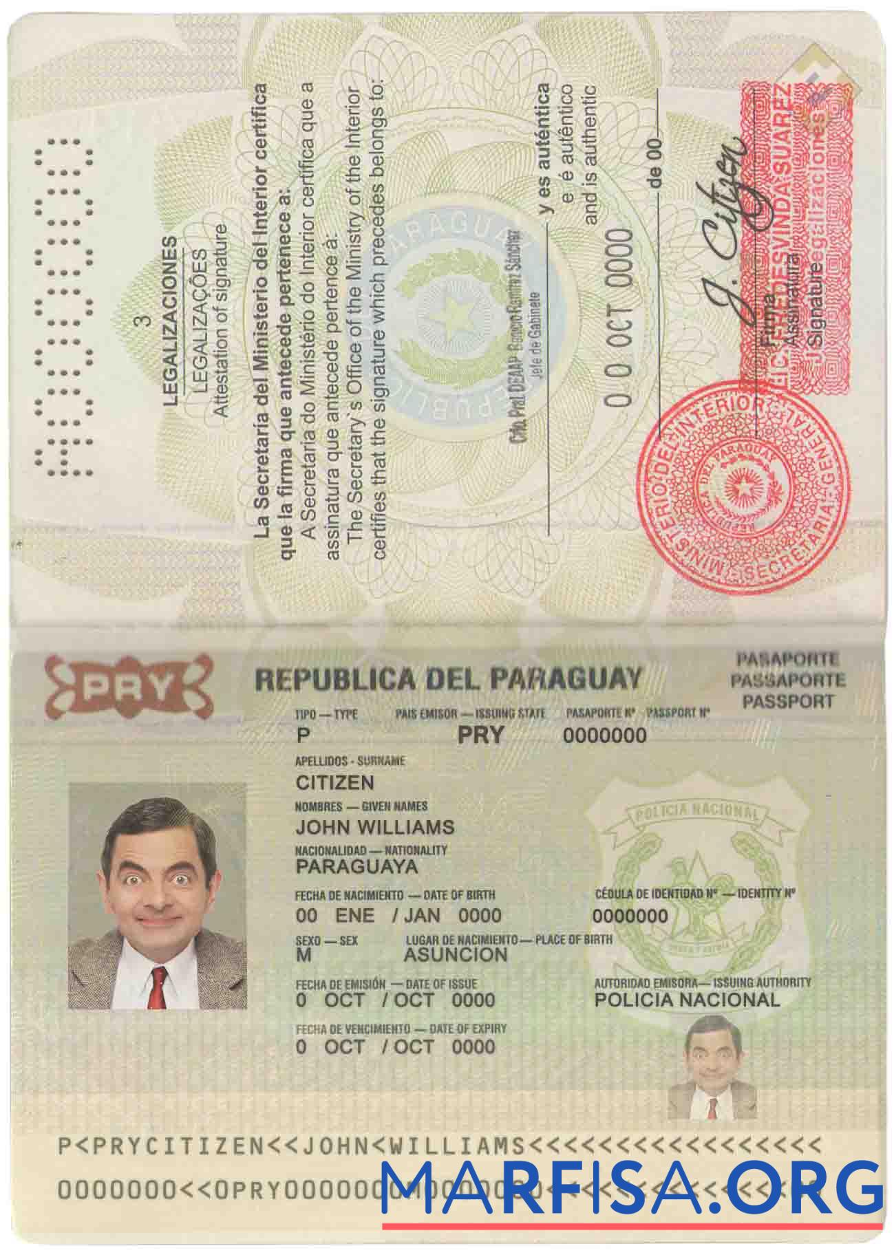 Blank Paraguay passport sample